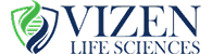 vizen-logo